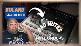 SP404 MK2 Tutorial: keep Listeners' Attention with Track Mutes and Mute Groups