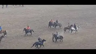31 12 2022й Бузкаши Султонобод Жамол чавандоз...Чайка