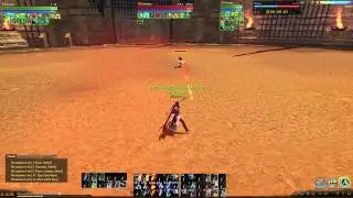 ArcheAge Шулер VS Застрельщик