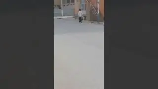 шинок