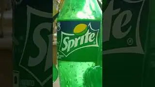 Flower pot made by waste sprite bottle | Craft ideas