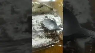 делаю Уроки 