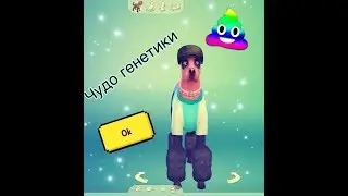 Что за упоротые собаки? Чудо генетики