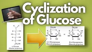 A simple explanation on the process of cyclization of glucose