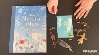 Art Scene - How to Make Cyanotype