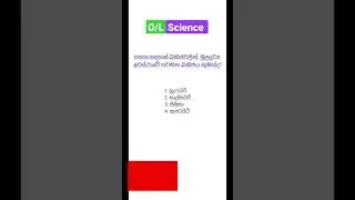 විද්‍යාව Revision 🧠|121| #ol #mcq #science #shorts #සාමාන්යපෙළ #sinhala #ordinarylevel #olexam
