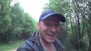 КОПМЕТАЛЛА В ДОЛЬ ЛЕСНОЙ ДОРОГИ. 
