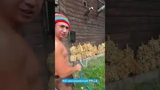 #kaisar