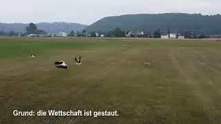 Invasion der Störche