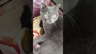 Не справедливо