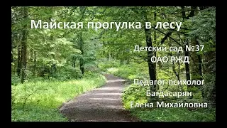 Занятие для дошкольников. О природе. Майская прогулка в лесу. Деревья весной.