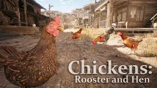 Chickens: Rooster and Hen