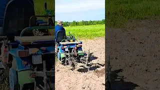 ОКУЧИВАНИЕ КАРТОФЕЛЯ ЁЖИКАМИ, МОТОБЛОК БЕЛАРУС 