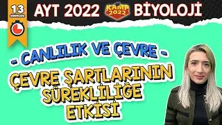 Çevre Şartlarının Sürekliliğe Etkisi | AYT Biyoloji 