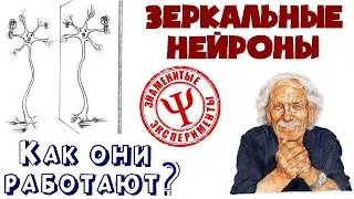 Зеркальные нейроны | Как они работают? | Как на нас влияет окружение?