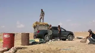 תושבי הכפר זנותה מתפנים מבתיהם בעקבות תקיפות ואיומי מתנחלים - 1.11.2023