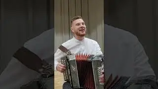 Вишня. Под окном широким. 