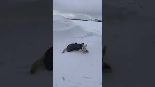 Кохтла-Ярве, Южный район