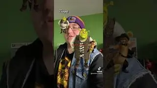 Shrek Challenge! 