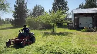 Transforming An Overgrown Lawn!