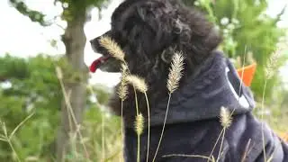 가을바람