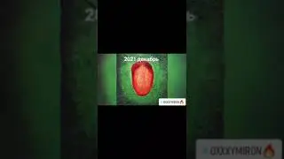 В репе оксимирона есть птаха