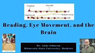 READING, EYE MOVEMENT, AND THE BRAIN