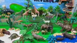 Jumbo Zoo Animal Diorama| Elephant, Lion, Kingkong, Crocodile- Mô hình động vật sở thú.