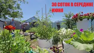 РАБОТАЕМ НА 30 СОТКАХ