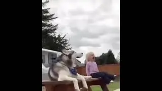 Прикольное видео
