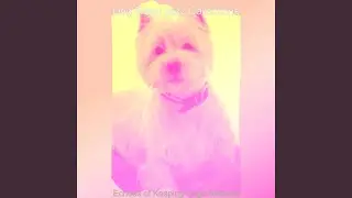 Astonishing Keeping Dogs Relaxed