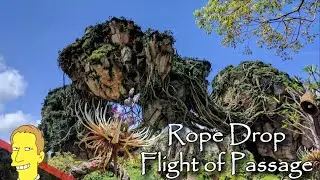 Rope Drop at Avatar Flight of Passage | Full Queue Walkthrough, Preshow and Ride POV