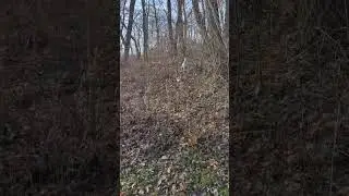 Squirrel hunters.