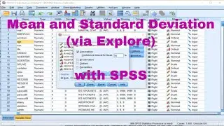 SPSS - Mean and Standard Deviation (via Explore)