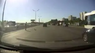 Утята переходят МКАД