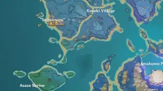 Genshin Impact Seirai Island Electro Cube Puzzle Chest