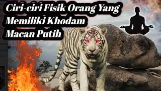 Ciri ciri orang yang didampingi khodam Harimau putih