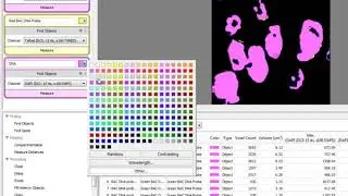 Working with populations in Volocity 3D Image Analysis Software