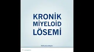 KML (Kronik Miyeloid Lösemi) Hakkında Bilmeniz Gereken Her şey!