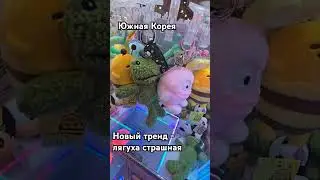 Новый тренд в Корее #вкорее #обзор #южнаякорея