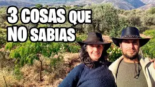 3 SECRETOS para CREAR un BOSQUE de ALIMENTOS 🚀 ¡Con poca AGUA! | La Huerta de Ivan