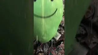 Plush dance