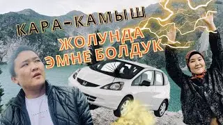 Кара-Камыш көлү жайлоосу Шерине