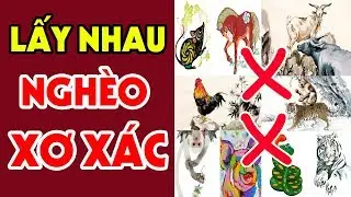 6 Cặp Con Giáp Lấy Nhau Là NGHÈO XƠ XÁC Khó Khăn Ập Đến Khổ Sổ Suốt Cuộc Đời