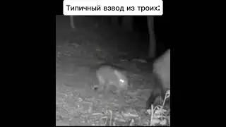 подпишись если любишь мемы 