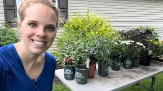 New Plant Load & Haul! | Simply Bloom