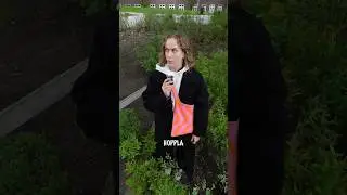 Wieso lernt man DAS nicht in der Schule?