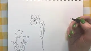 How to Draw Simple Flowers