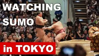 Must Watch in Japan - SUMO ♢ Schedule, Tickets and Seats, How to Enjoy the Day.