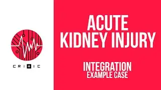 How to approach acute kidney injury - an example case - the Acute Kidney Injury series